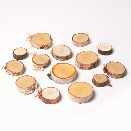 0.25 Slice - Wilson Birch Wood Slices: 0.25 to 0.88 inches, 10 ounces