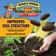 thumbnail image 6 of Wiggle Worm 100% Pure Worm Castings Plus Worm Egg Material, 40lbs – Fertilizer and Soil Amendment for Indoor and Outdoor Gardening to Improve Soil Fertility and Aeration - 100% Organic and Odor Free, 6 of 9