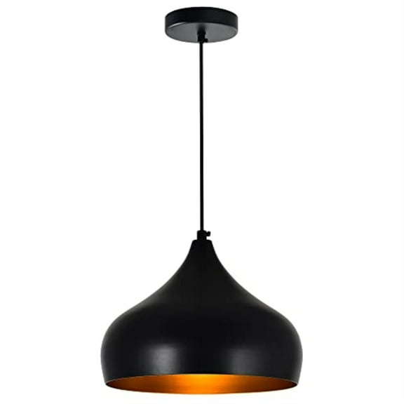 CWI Lighting Dynamic Single Light Down Metal Pendant in Black