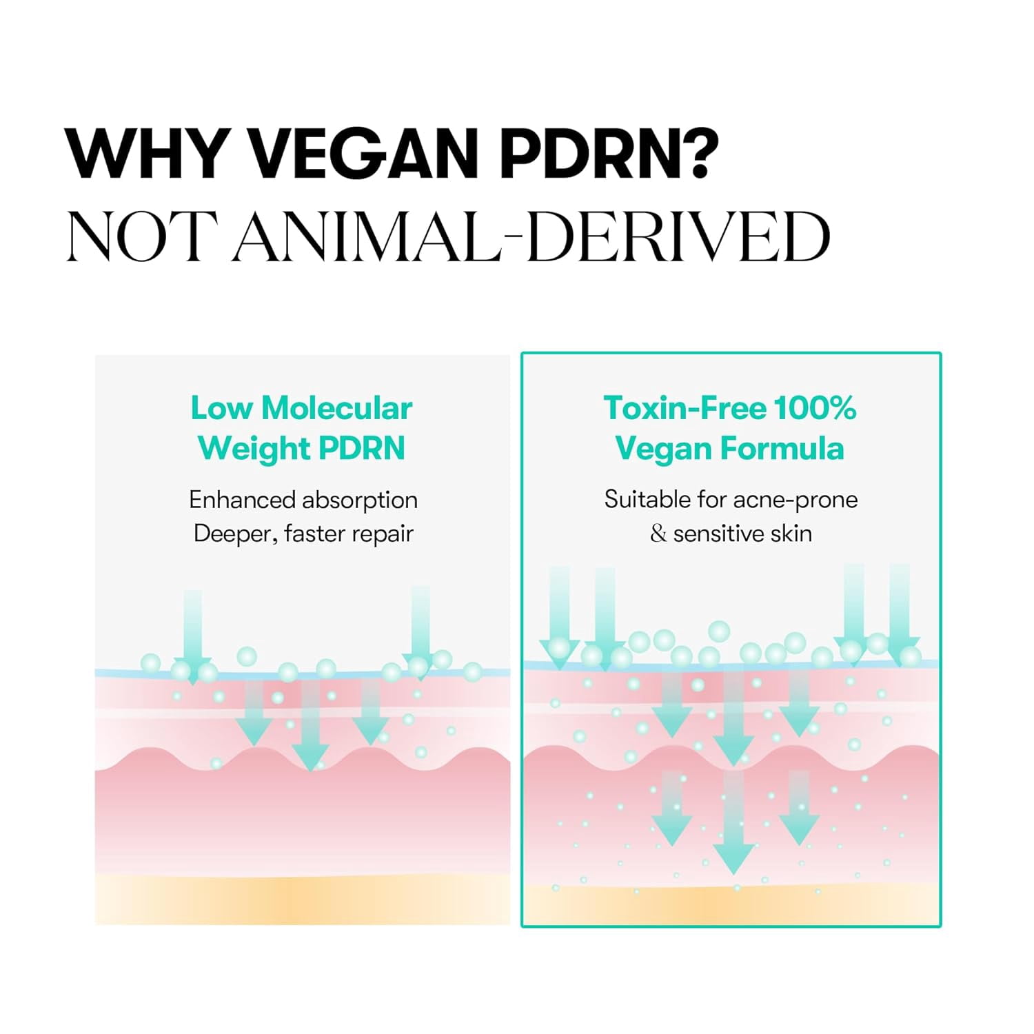 VT COSMETICS PDRN Capsule Cream 100, Hydrating Face Moisturizer with 100,000ppm PDRN, Hyaluronic Acid, 9 Peptides, Firming & Plumping Nourishing Cream, Korean Skin Care (1.69 fl. oz.)