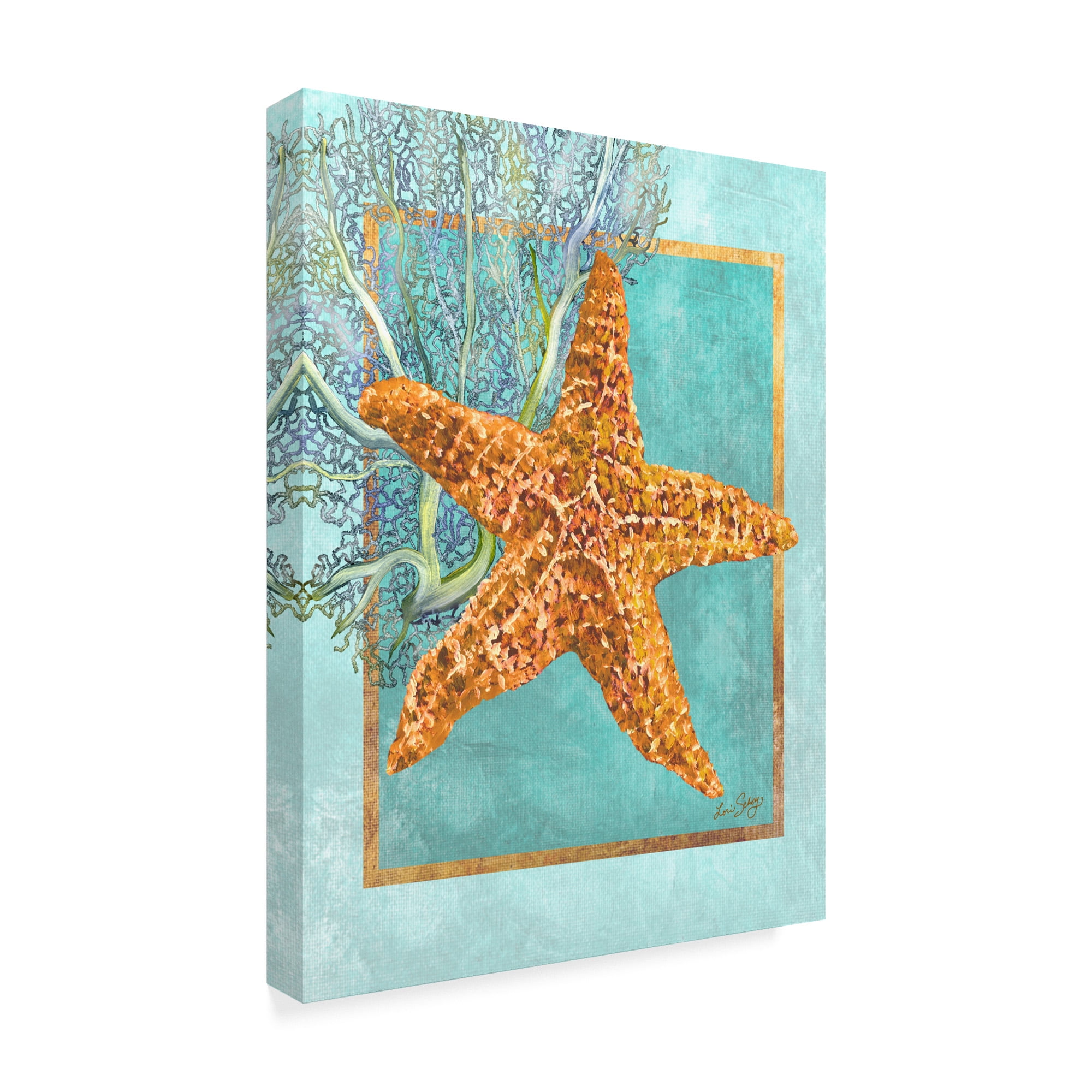 Trademark Fine Art 'Starfish and Coral' Canvas Art by Lori Schory