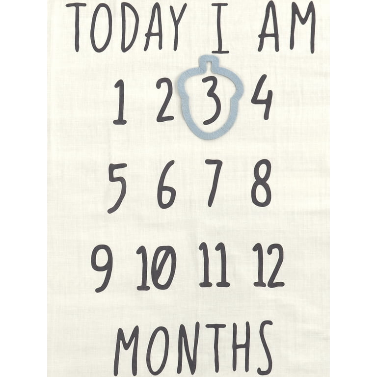 Modern Moments by Gerber Baby Boy Milestone Blanket & Frame photo 4
