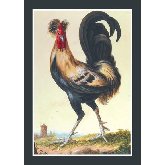 Bnf Animaux Carnet Ligné, Coq, (Paperback)