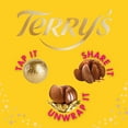 thumbnail image 7 of Terry's Chocolate Orange, Milk Chocolate with Natural Orange Flavor and Popping Candy, 5.18oz Box, 7 of 7