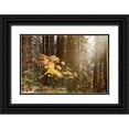 thumbnail image 1 of Murdock, Ramona 18x13 Black Ornate Wood Framed with Double Matting Museum Art Print Titled - Light the Forest, 1 of 4