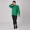 thumbnail image 7 of Hanes Men's and Big Men's EcoSmart Fleece Sweatshirt, Sizes S-5XL, 7 of 7