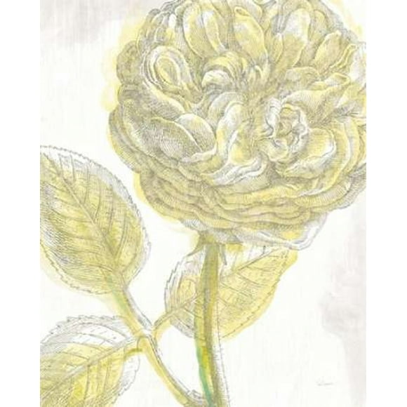 Belle Fleur Yellow III Crop Poster Print by Sue Schlabach (8 x 10)