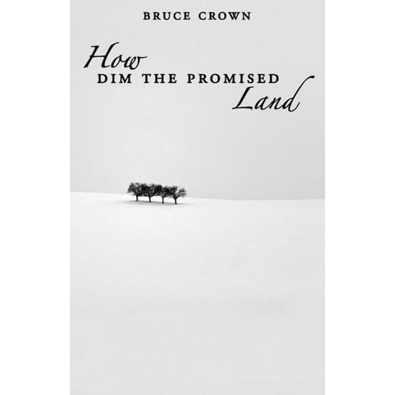 How Dim the Promised Land (Paperback)