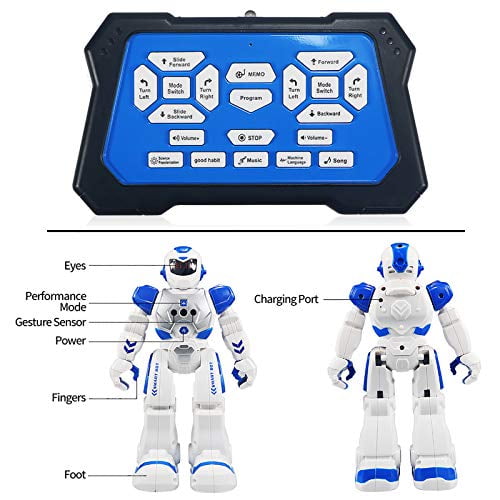 sikaye rc robot