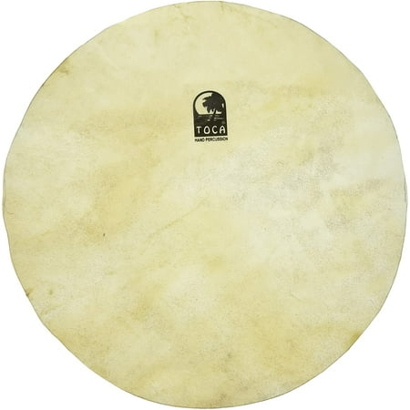 TOCA 12 in FLAT SKIN FOR SFDD12