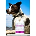 thumbnail image 5 of Breedwise Pet Provisions 2-Piece Natural Dog Grooming Bundle, Sweet Pea & Vanilla Scent, Includes Shampoo & Conditioner, 5 of 6