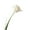 White, variant on Walbest 1Pc 26.77 Inch Artificial Flower Vivid Decorative 3D Parrot Tulip Real Touch Fake Flower Decor Flower Arrangement for Home Office Party, Flower Diameter: 4.33"