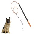thumbnail image 2 of Imitation Leather Dog Training Whip Professional Dog Training Tool with Handle Pet Supplies, 2 of 4