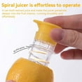 thumbnail image 4 of HeeHom Lemon Squeezer Manual Juicer - 2025 New Screw-Top Design with Built-In Filter for Oranges, Lemons & Limes | Portable Citrus Press for Cocktails, Kitchen & Travel (PP Material), 4 of 9