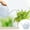 Navy, variant on Saving! SSNTSY Watering Cans Pot Watering Jug Small Plant Indoor Watering Plant Indoor Watering Jug Long Spout Watering Jug Watering Garden Pot Household Watering Jug Watering Garden Kettle (2L)