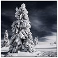 thumbnail image 2 of Philippe Sainte-Laudy 'White Ink'  Canvas Wall Art 14 x 14, 2 of 2