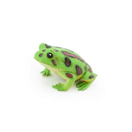Frog Northern Leopard Frog Spotted Green Plastic Toy Realistic Rainforest Figure Model Replica Kids Educational Gift 2" F4405 B9