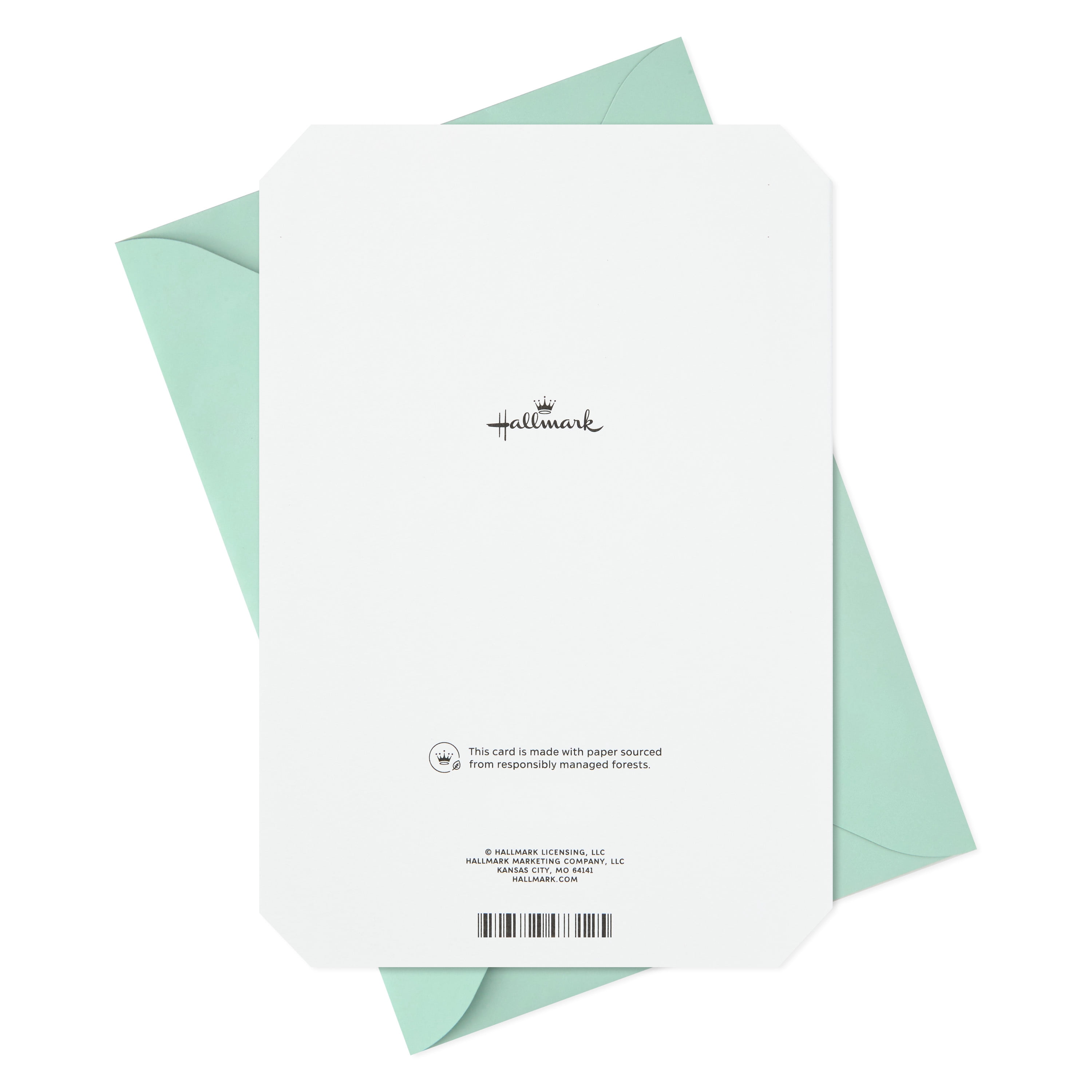 Hallmark Wedding Shower Greeting Card (a Lifetime of Love)