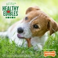 thumbnail image 5 of Nylabone Healthy Edibles Broth Bone All-Natural Long Lasting Chew Treats Ham Small (16 Count), 5 of 13