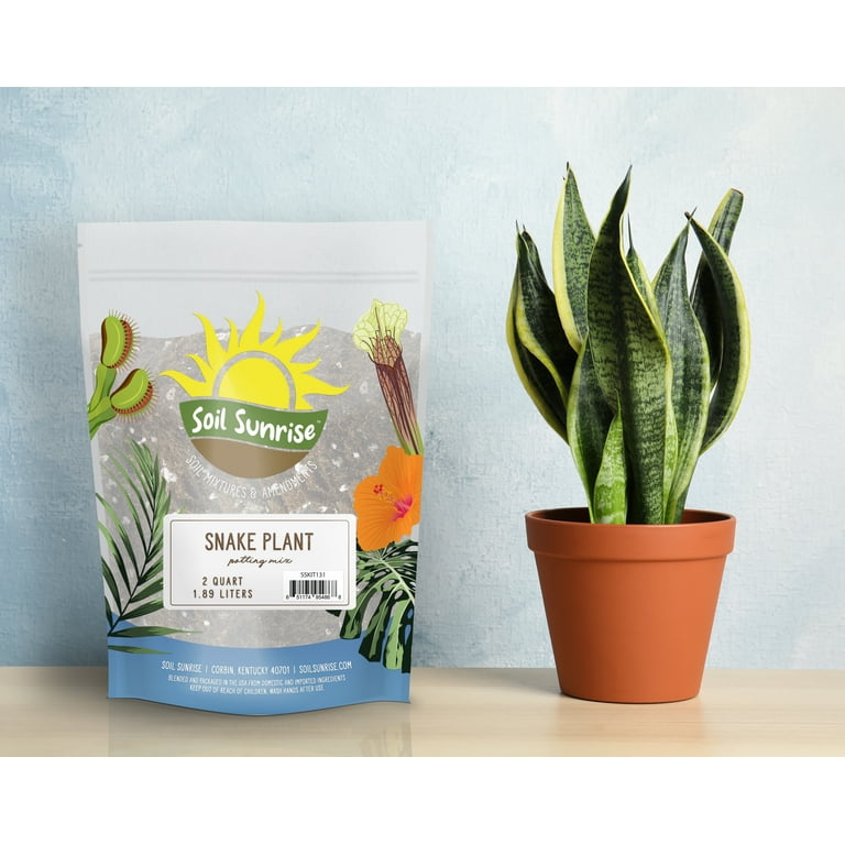 Snake Plant Potting Soil Mix (2 Quarts), Specialized Blend for Green  Sansevieria Trifascatia Zeylanica Plants - Walmart.com