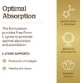 thumbnail image 3 of Tabletas L-Lysine 1000 mg Solgar 0.0353 oz para piel saludable y labios, 3 of 4