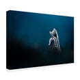 thumbnail image 4 of Trademark Fine Art Jan Rozehnal  Pulsatilla pratensis Canvas Wall Art, 4 of 4