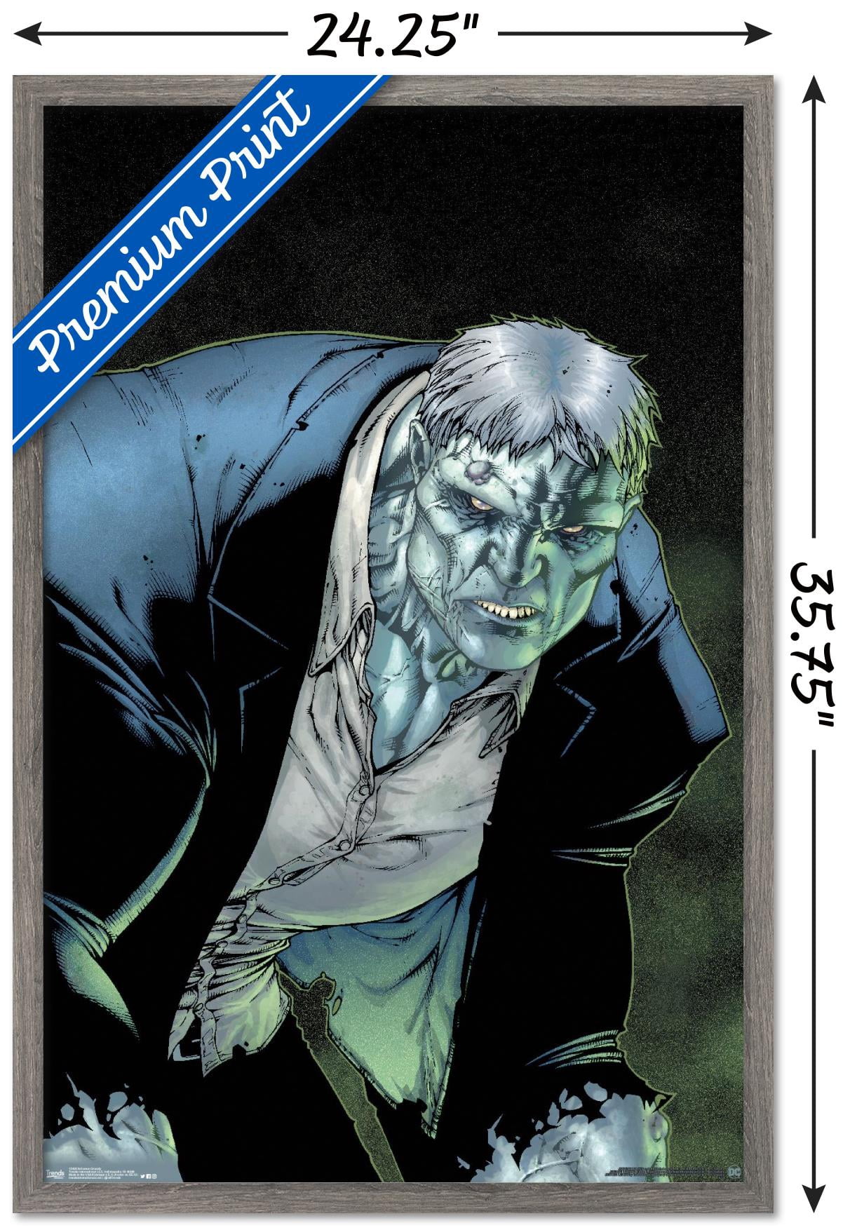 DC Comics - Solomon Grundy Wall Poster, 22.375" x 34", Framed