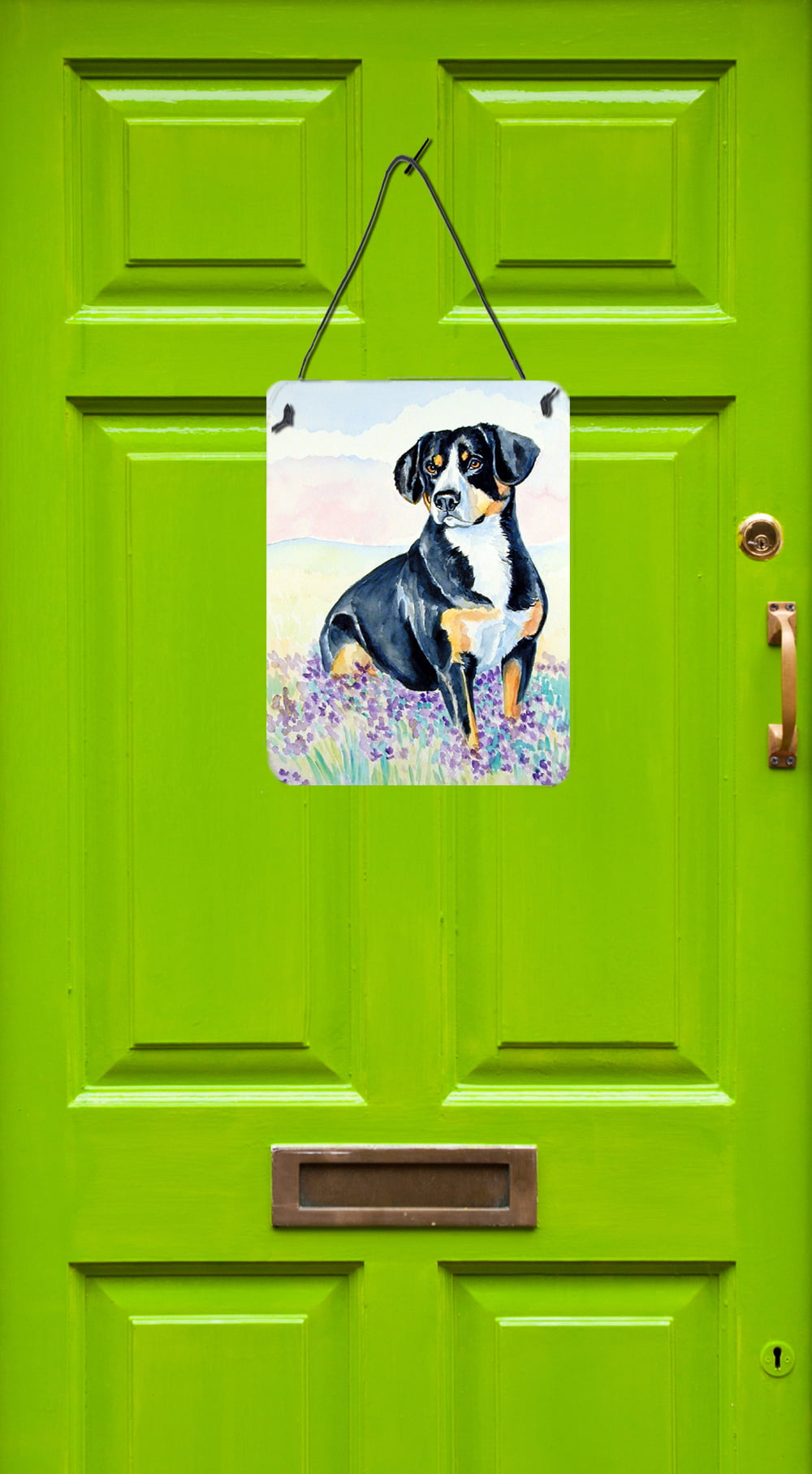 Multicolor Carolines Treasures 7030DS1216 Entlebucher Mountain Dog Aluminium Metal Wall or Door Hanging Prints 12x16 