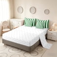 thumbnail image 4 of Manfei Classic Stripe King Bedding,Modern Geometric King Bed in a Bag, Green White, Reversible 7pcs, 4 of 6