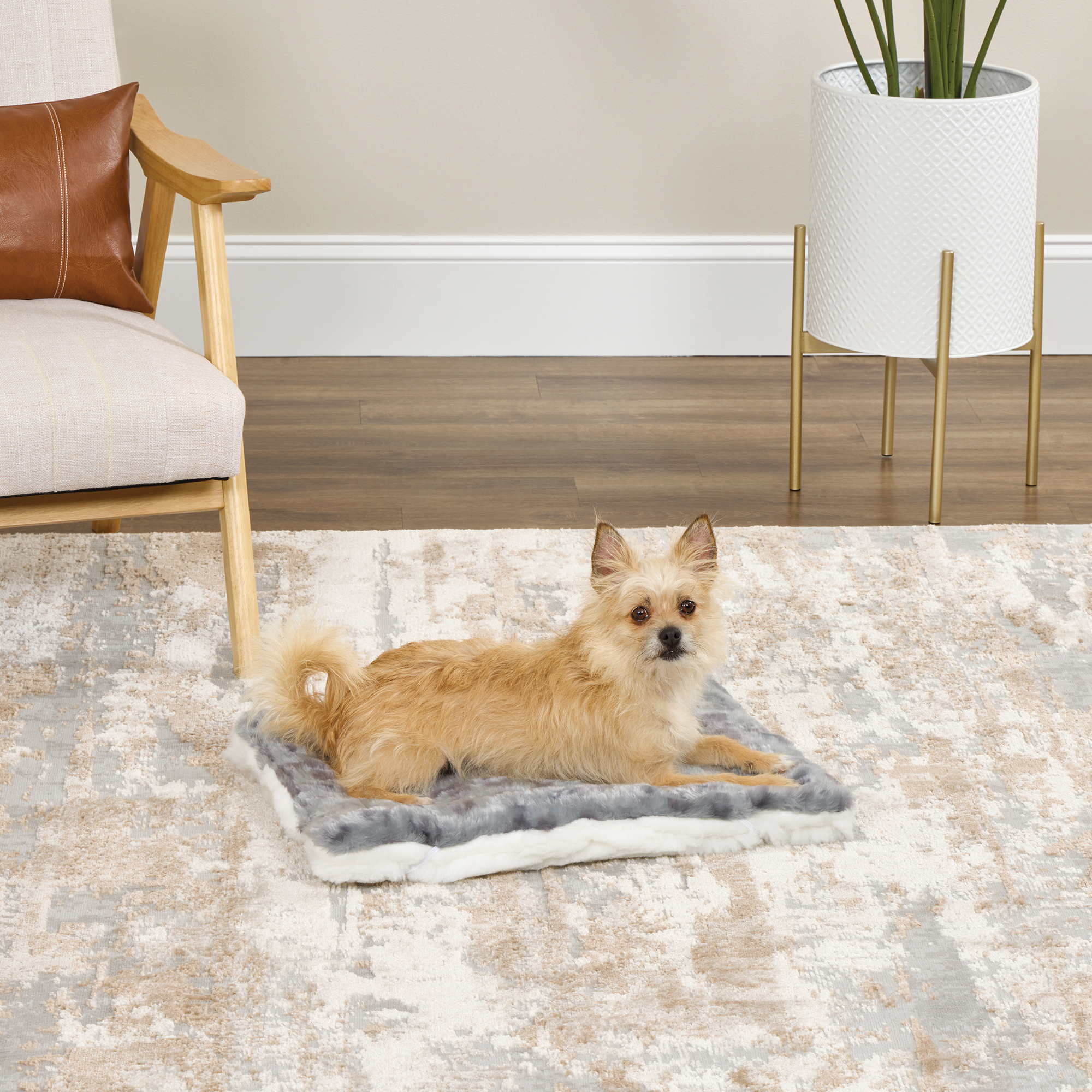 MidWest Homes for Pets Reversible Spotted Pet Bed photo 1