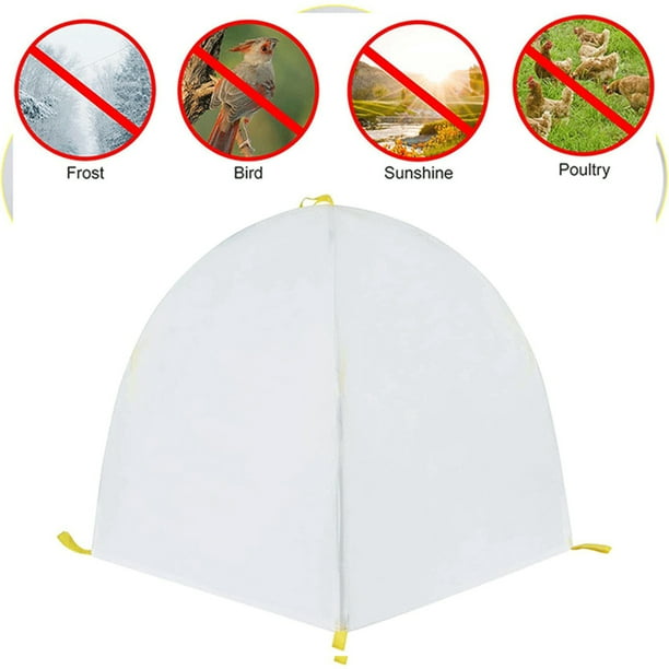 Plant Covers Freeze Protection Protect Fruit Tree Potted Plants from