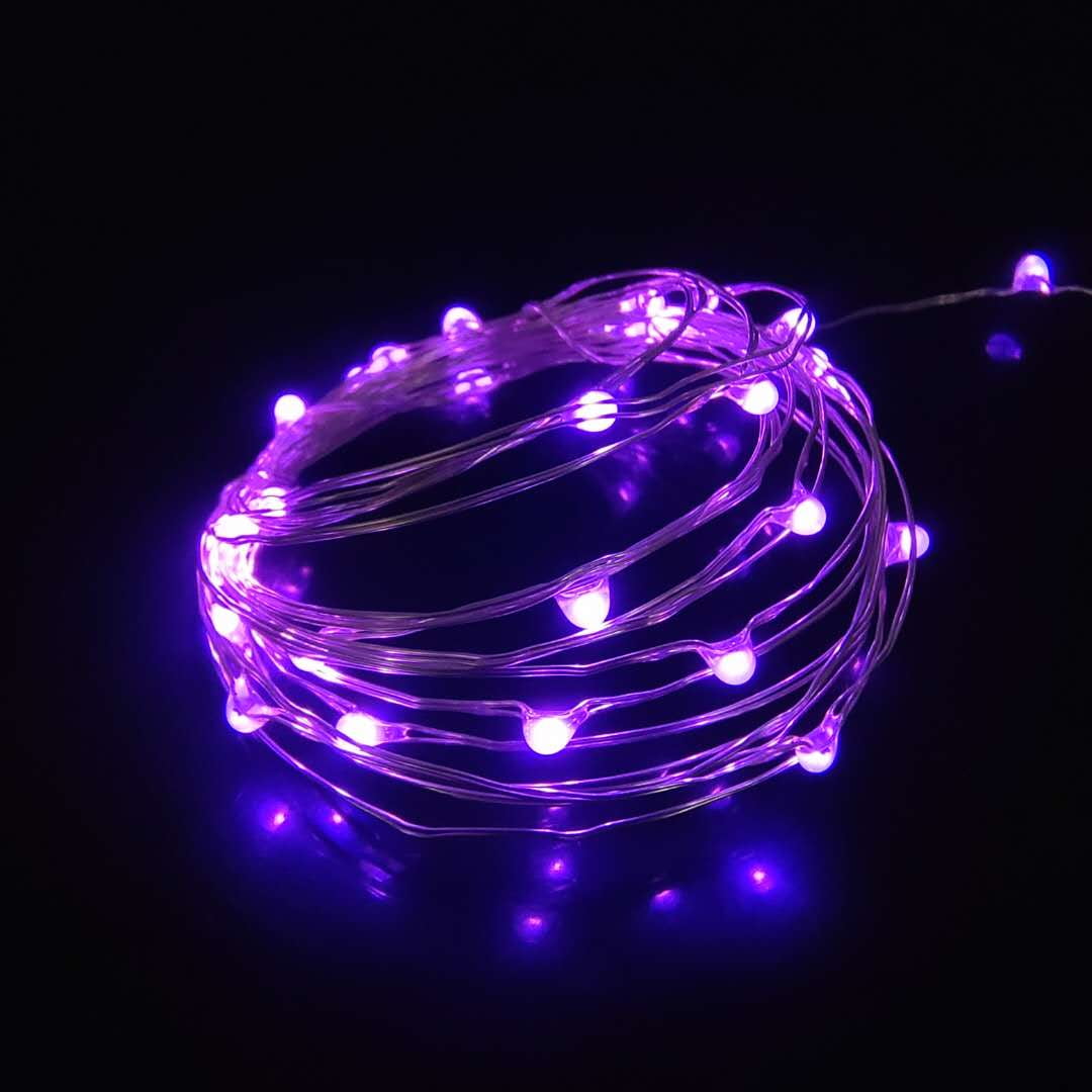 Set of 2 Battery Operated Mini Led Lights,Indoor Fairy Lights with Timer 6 Hours on/18 Hours Off for Christmas Party Decorations,30 Count LEDs,10 Feet Silver Wire (Purple Color)