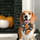 thumbnail image 1 of Decoración de Halloween, regalos de Halloween, accesorios de Halloween, pañuelos para perros de Halloween, bufandas para mascotas, pañuelos lavables para mascotas, bufandas para perros, pañuelos para, 1 of 6