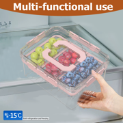 Versatile Snackle Box Container, Chilled Serving Tray with Handle, Chilled Condiment Server with 3 Separate Containers, Fruit Platter Tray for Parties, Road Travel, Fruit, Veggies and Snacks