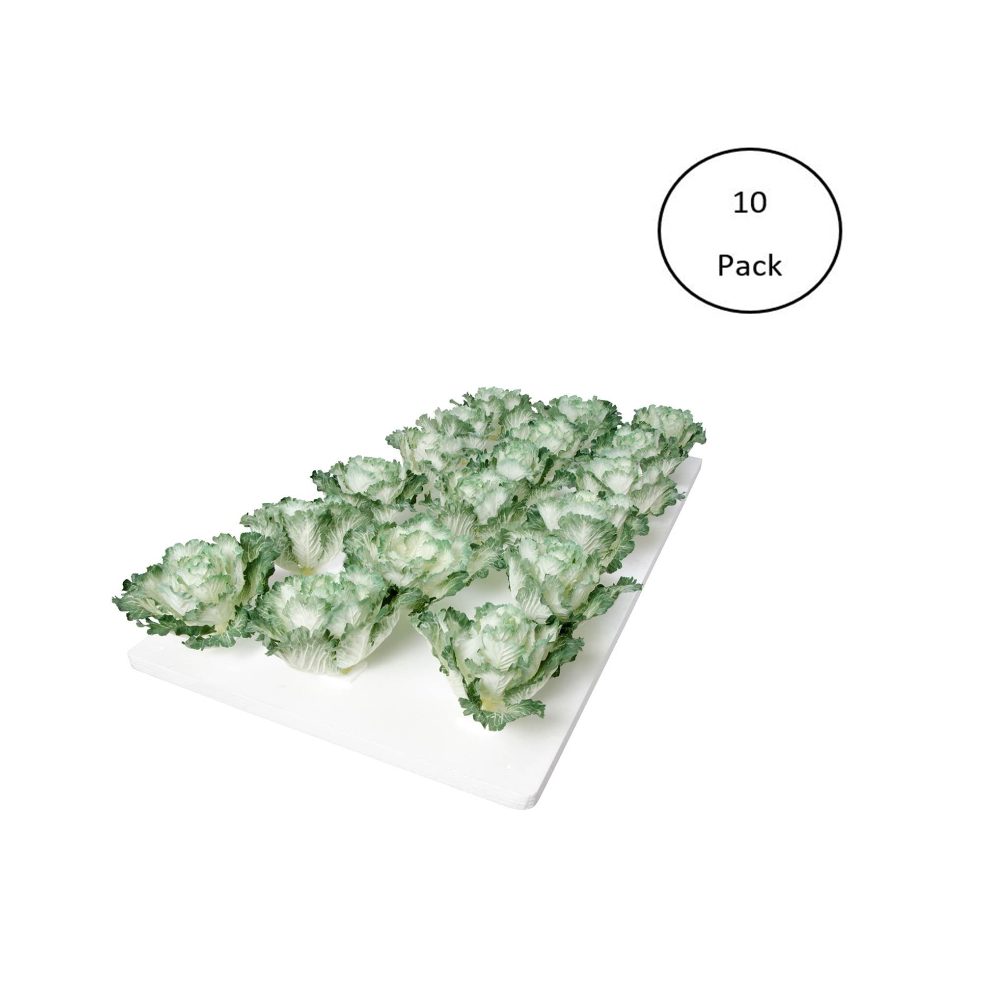 Beaver Plastics Lettuce Raft 18-3 pack