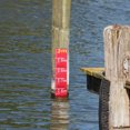 thumbnail image 4 of LOLIPPYY Liquid Level Indicator Scale Sticker PVC Red Water Measurement for Industrial Use 1Set, 4 of 6