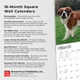 thumbnail image 5 of Saint Bernards | 2024 12x24" (Hanging) Square Wall Calendar | BrownTrout, 5 of 8