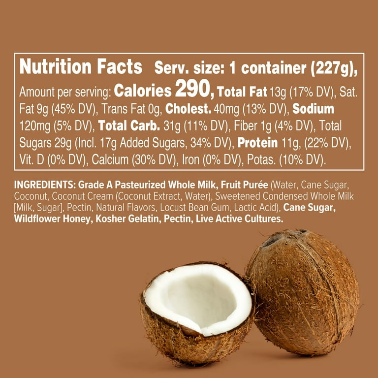 noosa Coconut Yogurt 8 oz Tub Velvety Smooth Whole Milk with