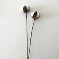 thumbnail image 6 of LOLIPPYY 10Pcs Simulation Cotton Flower Stems White Bendable for Home Decoration and Events, 6 of 8