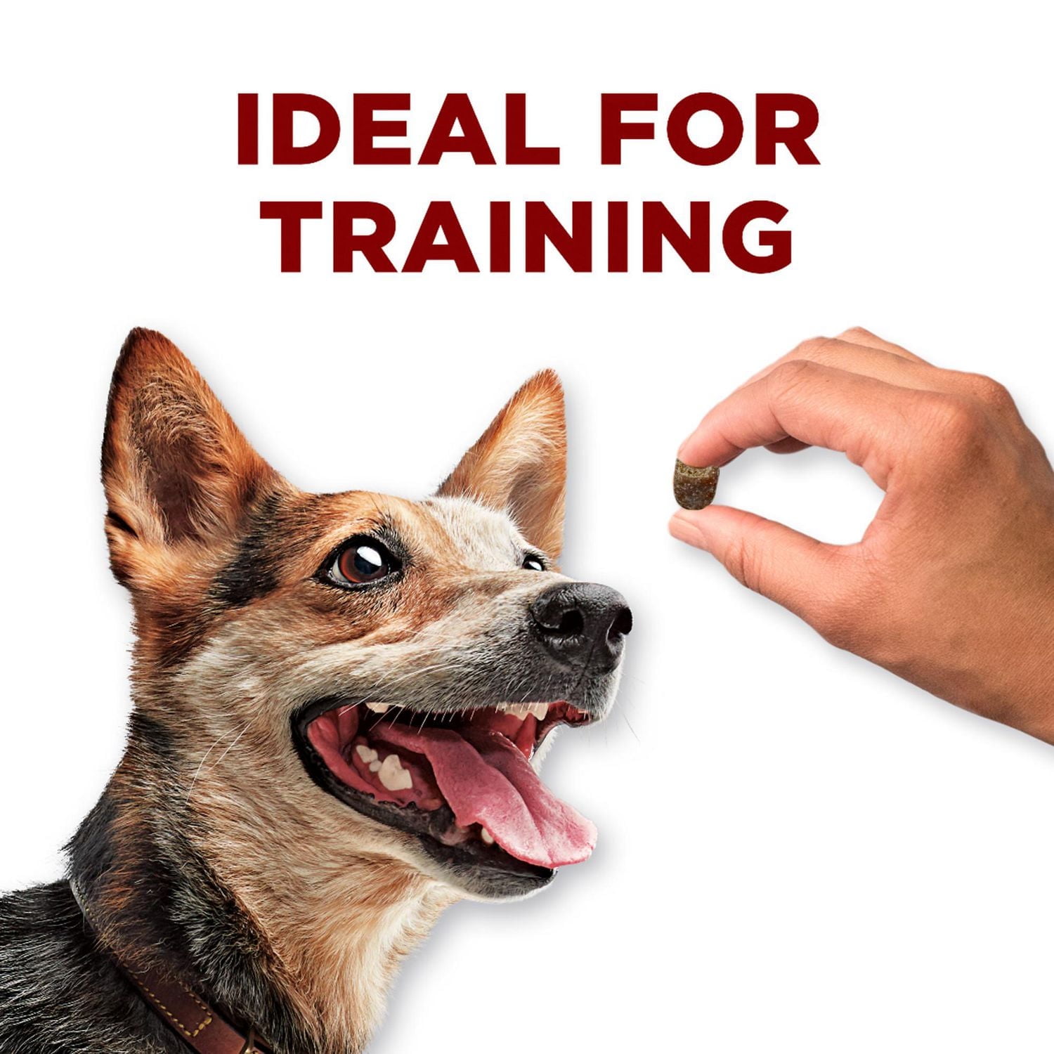 Purina ONE True Instinct Venison Bites, Dog Treats, 198-566 g