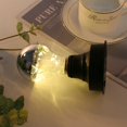 thumbnail image 3 of Edison Series DIY Light Bulb Half Silver Plated A60 Copper Wire, 3 of 5