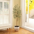 thumbnail image 3 of DR.Planzen 5' Artificial Olive Tree Indoor, Tall Faux Olive Tree, Artificial Plants with Natural Wood Trunk and Lifelike Fruits for Home Office Decor, 3 of 12