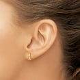 thumbnail image 4 of Primal Gold 10 Karat Yellow Gold Polished Hinged Earrings, 4 of 4