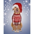 thumbnail image 3 of Fab Funky 20x24 Black Modern Framed Museum Art Print Titled - Pitbull in Christmas Sweater, 3 of 5