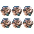 thumbnail image 2 of Balery 6 Pcs Playful Catleather Coasters Set, Drink Table Cup Coasters For Living Room Kitchen Coffee Decor, 2 of 9