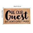 thumbnail image 3 of Coir Door Mats Mats for Front Door Indoor Spring Rugs Indoor Super Absorb Mud Front Door Mats Welcome Mats for Front Door Outdoor Entry Welcome, 16x24 Inch, BE OUR Guest BUT DON'T EXPECT MUCH, 3 of 6