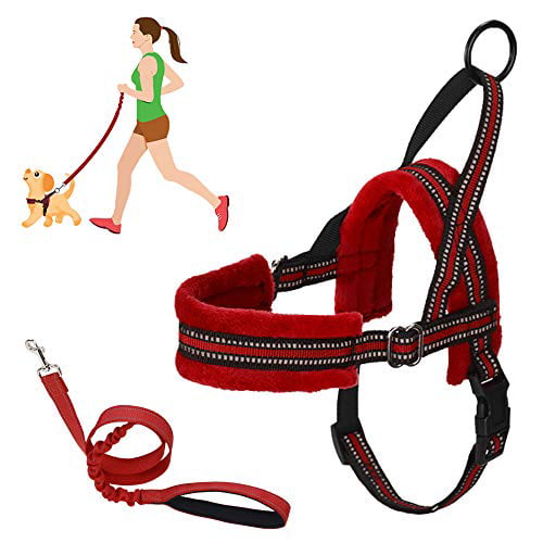 SlowTon No Pull Small Dog Harness and Leash Heavy Duty Easy Walk Vest Harness Soft Padded Reflective Adjustable Puppy Harness Anti-Twist 4FT Pet Lead Quick Fit for Small Dog Cat Animal 