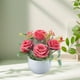 thumbnail image 4 of Ramo decorativo de flores secas artificiales,simulación de flores,decoración de interiores,decoración floral de plástico para sala de estar, 4 of 6