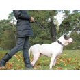 thumbnail image 2 of LAICAIW Rope Dog Leash 4 FT with Comfortable Padded Handle, Highly Reflective Threads Strong Dog Leash for Large Dogs, 1/2 inch, Grey, 2 of 7