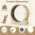 thumbnail image 3 of Gymax Cat Exercise Wheel w/ Carpet & Lockable Mechanism Non-slip Wide Base Wide Base, 3 of 10